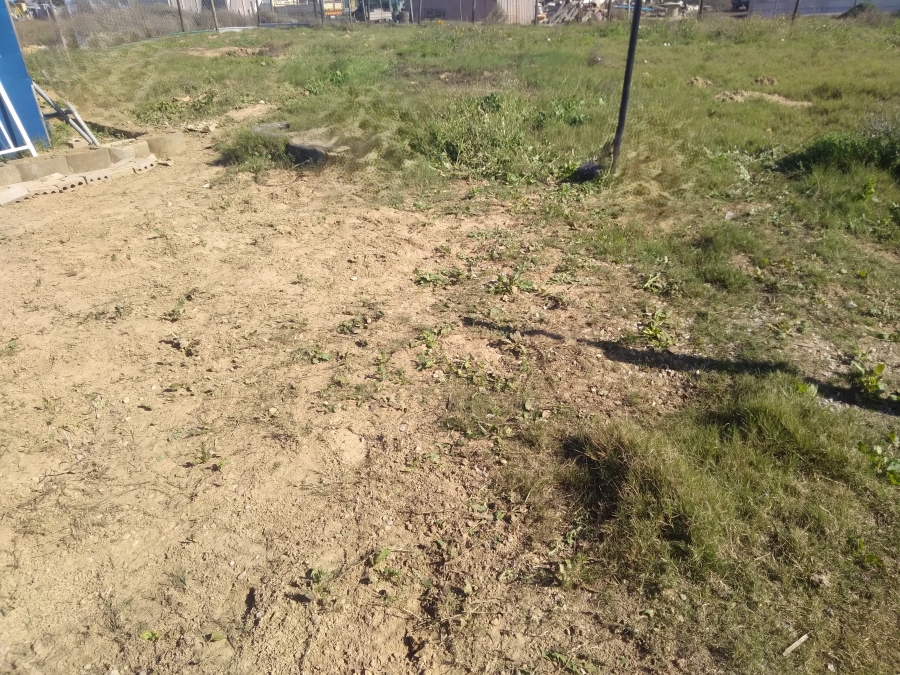 To Let 2 Bedroom Property for Rent in Vredenburg Rural Western Cape